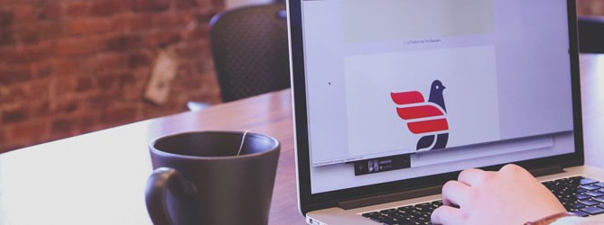 plan-de-afacere-incubatoare